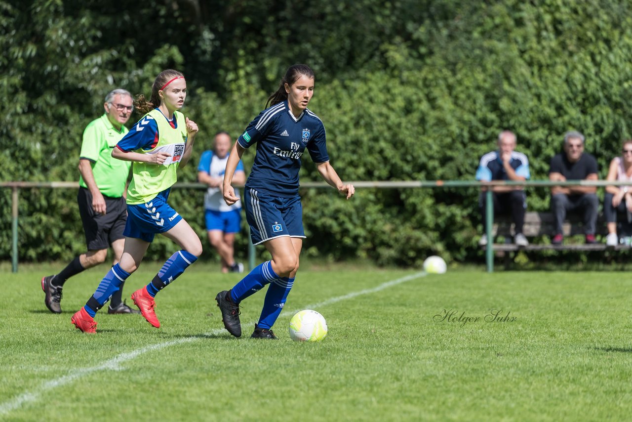 Bild 296 - B-Juniorinnen VfL Pinneberg - HSV : Ergebnis: 1:4